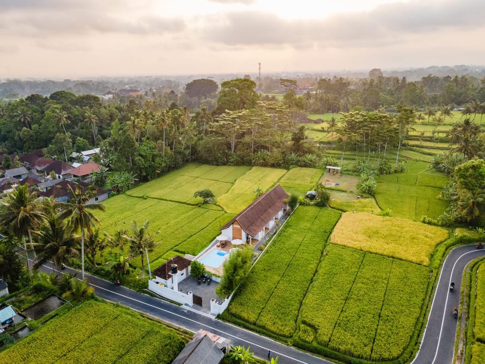 Property building, Neighbourhood, Natural landscape, Bird's eye view