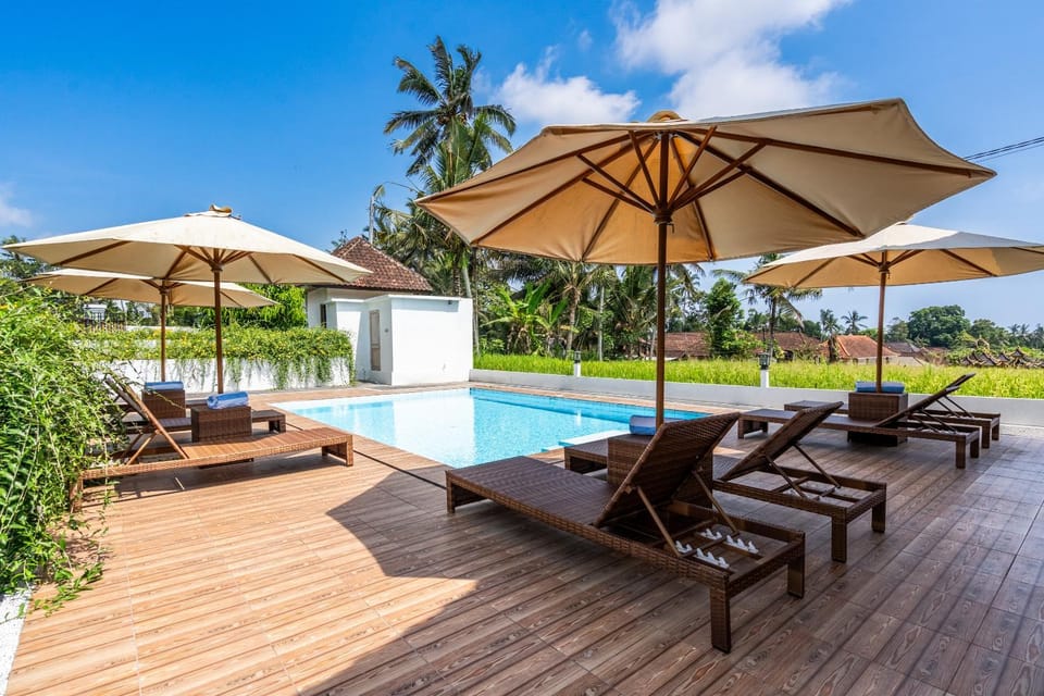 Garden, Swimming pool, sunbed