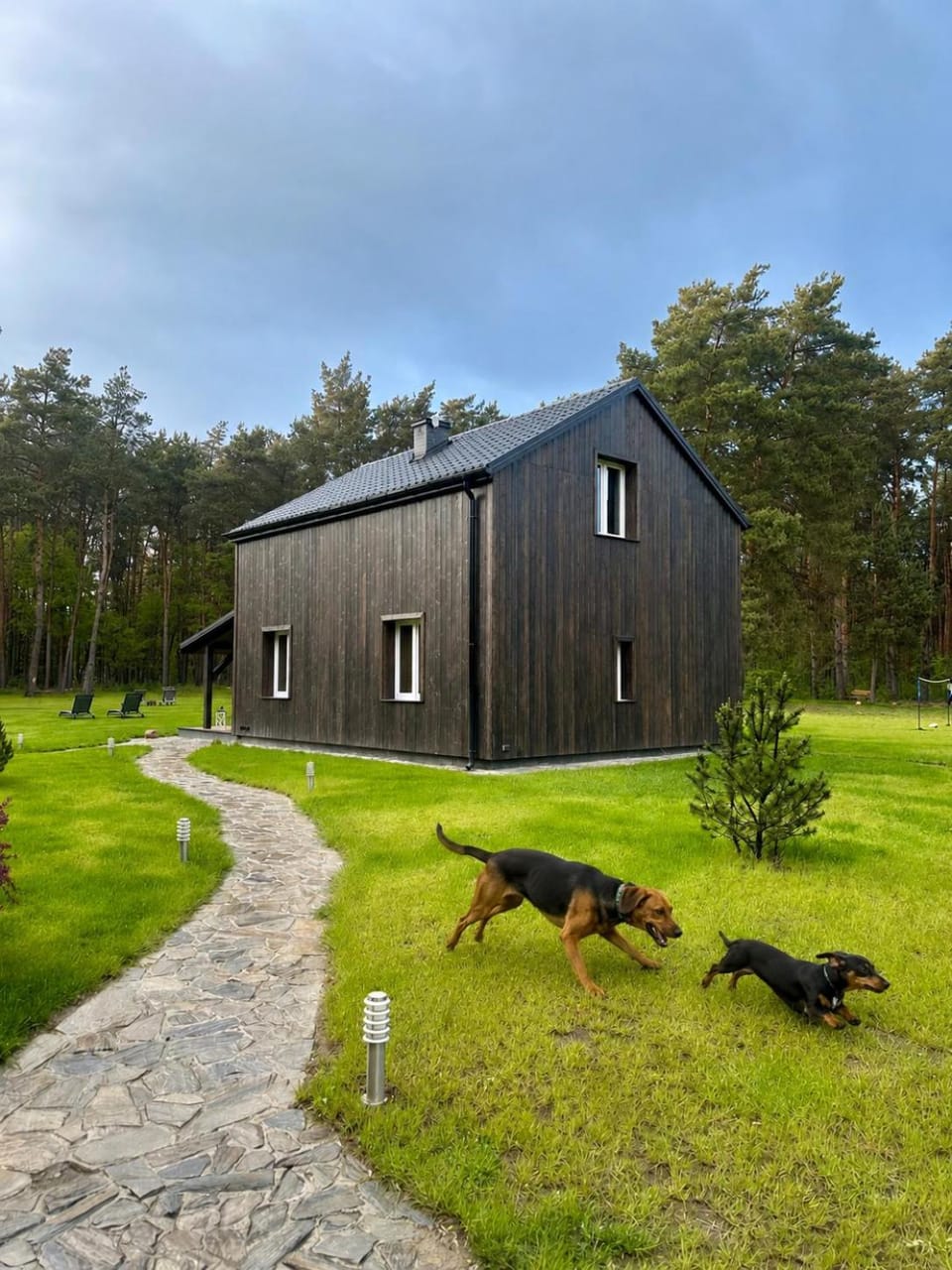 Property building, Animals, Animals, Pets, pet friendly, pet friendly