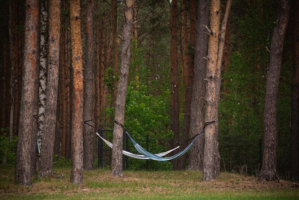 Spring, Day, Natural landscape, Garden, Garden view, furniture, furniture