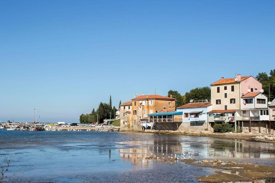 Apartment Cinema Apartment in Istria County