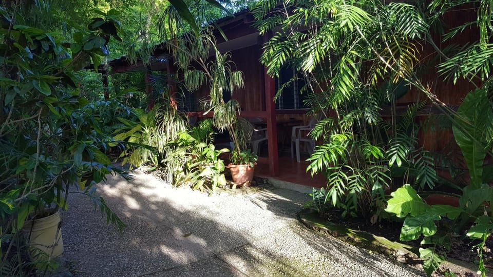 Guest house Posada Ixchel Bed and Breakfast in Guatemala