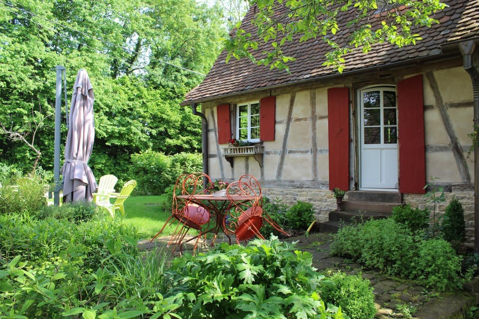 Garden view