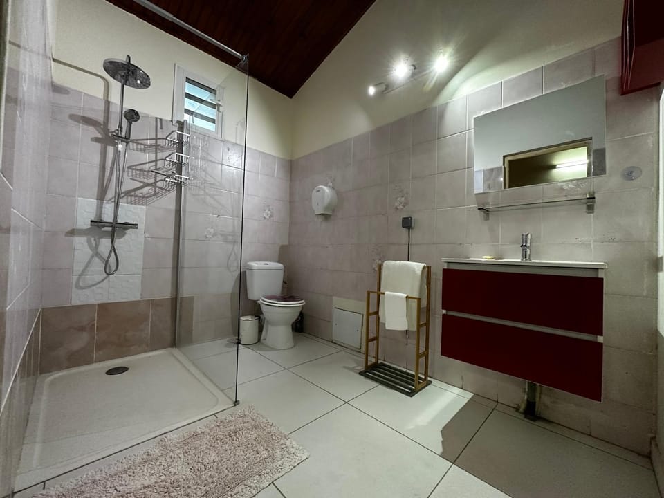 Shower, Toilet