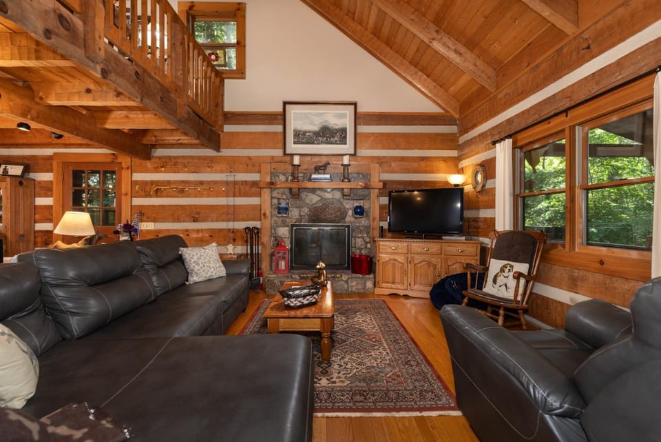 Day, TV and multimedia, Living room, Seating area, fireplace, furniture