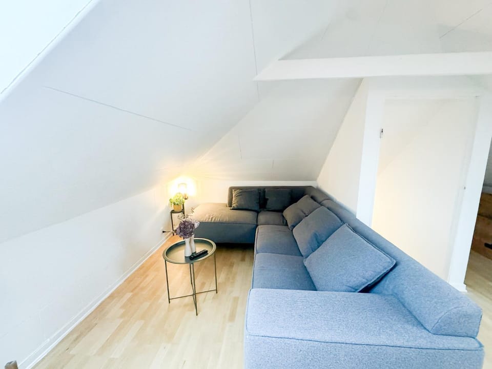 Spacious and modern house close to Århus Center Apartment in Aarhus
