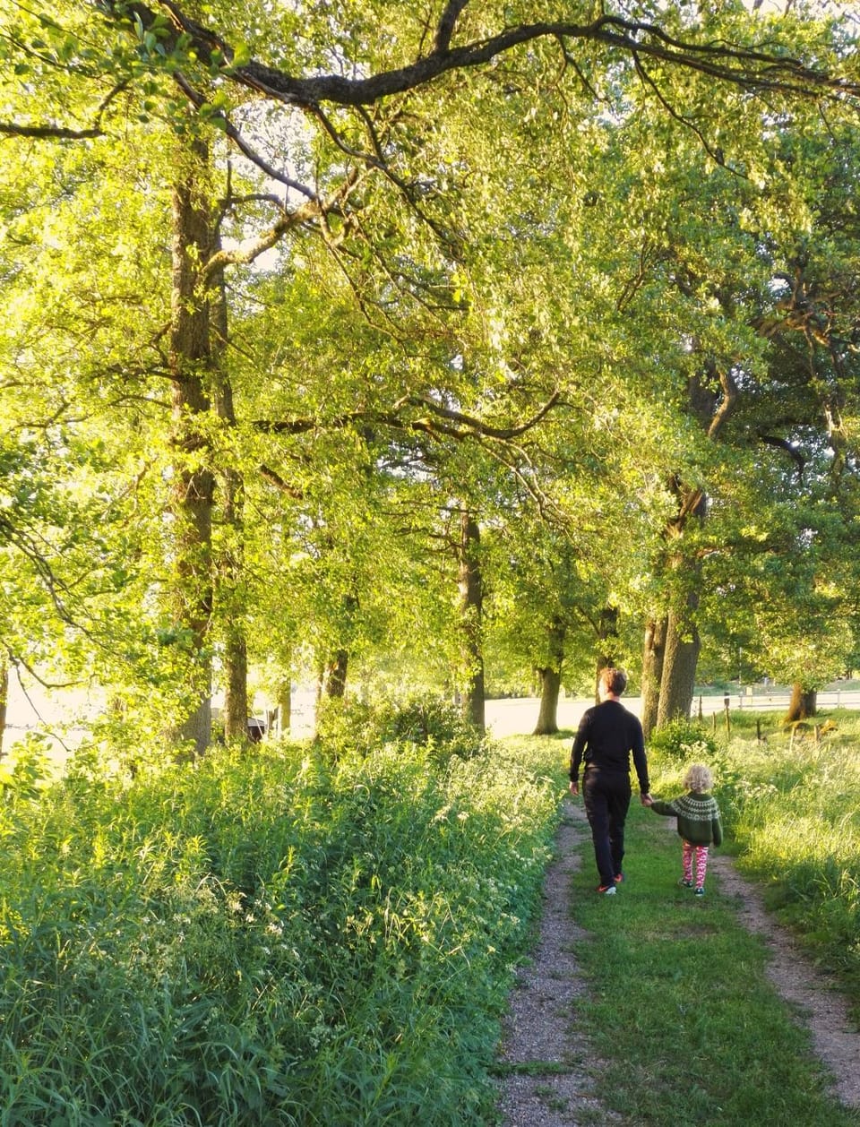Natural landscape, Hiking