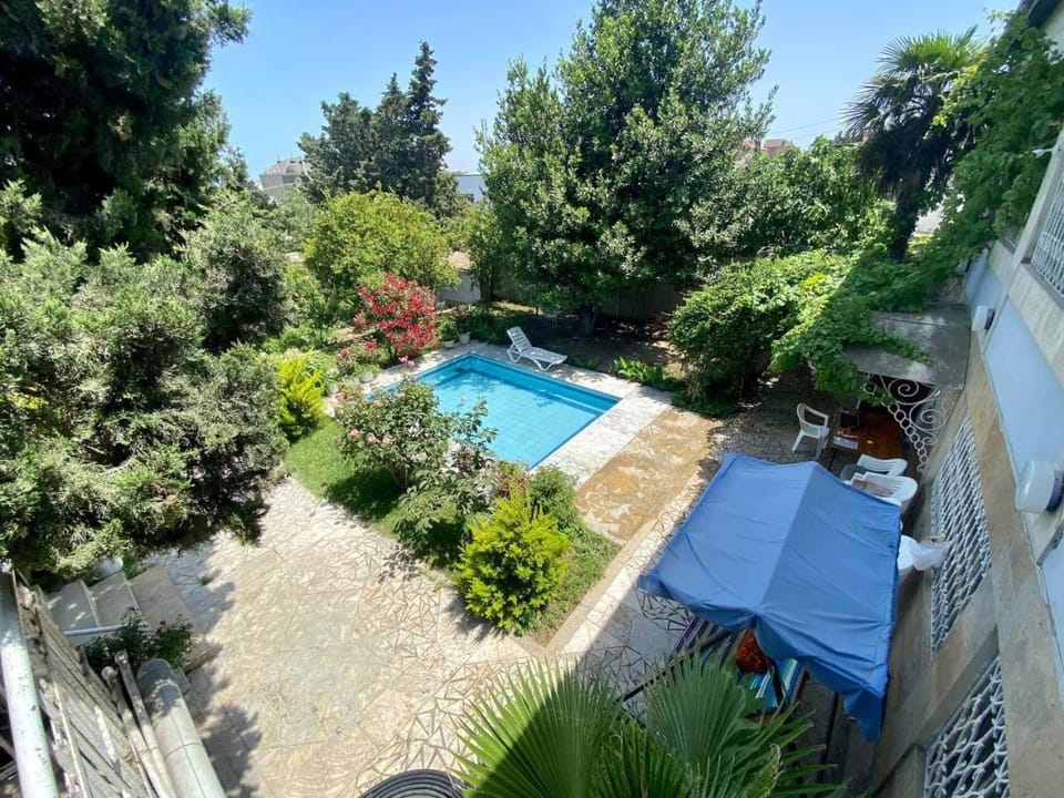 Spring, Day, Garden, Garden view, Pool view, Swimming pool, sunbed