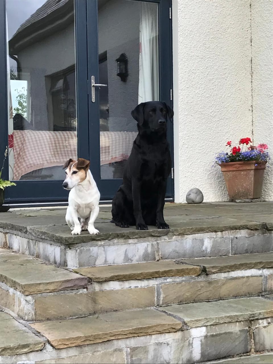 Rowantree Vacation rental in Scotland