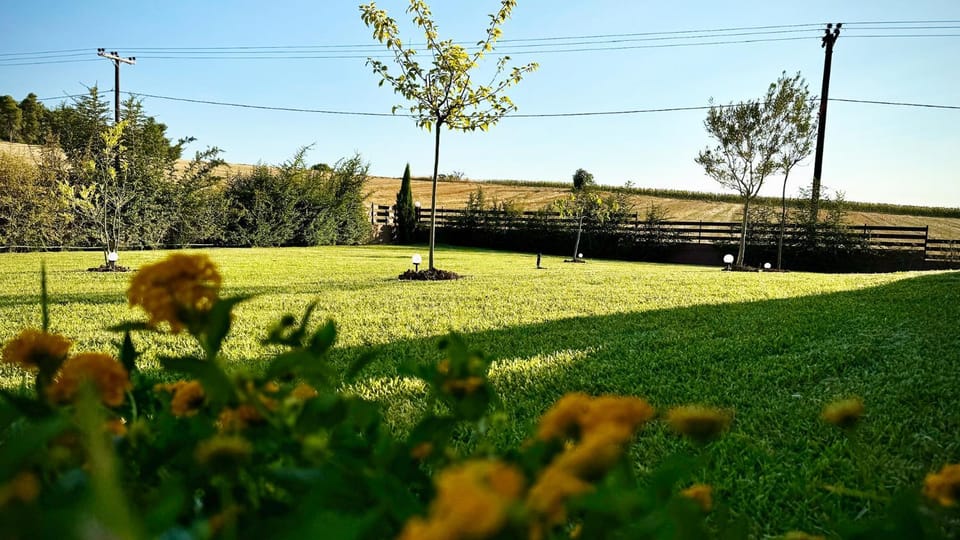 Natural landscape, Garden, Garden view