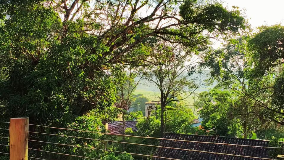 Patio, Natural landscape, View (from property/room)
