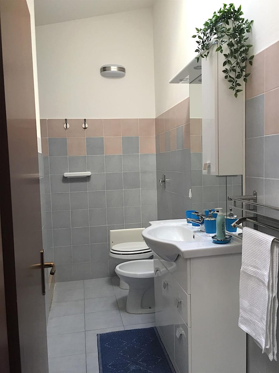 Toilet, Bathroom, bidet