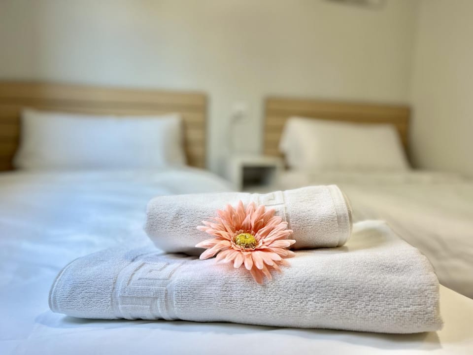 Duplex Beach Santa Pola by Apartment in Santa Pola