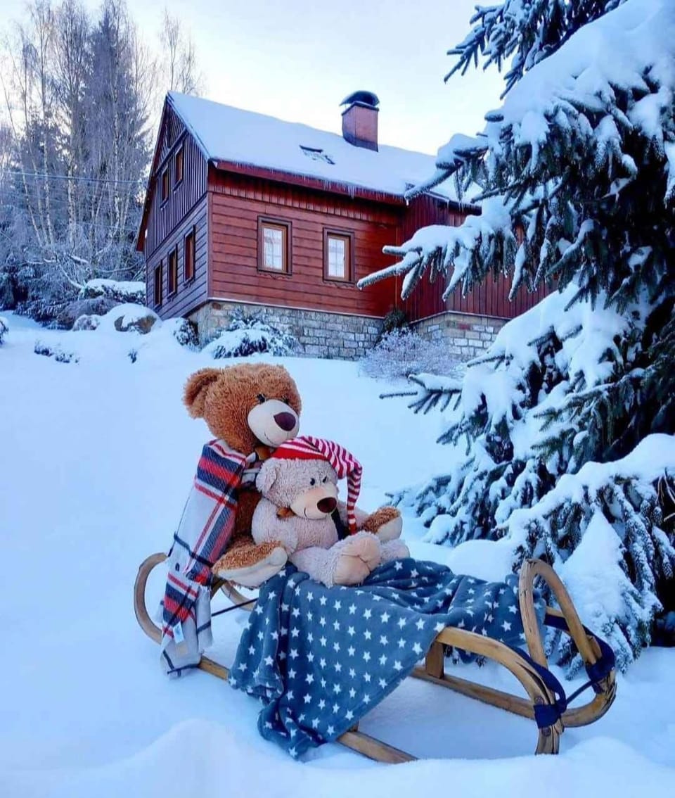 Property building, Winter
