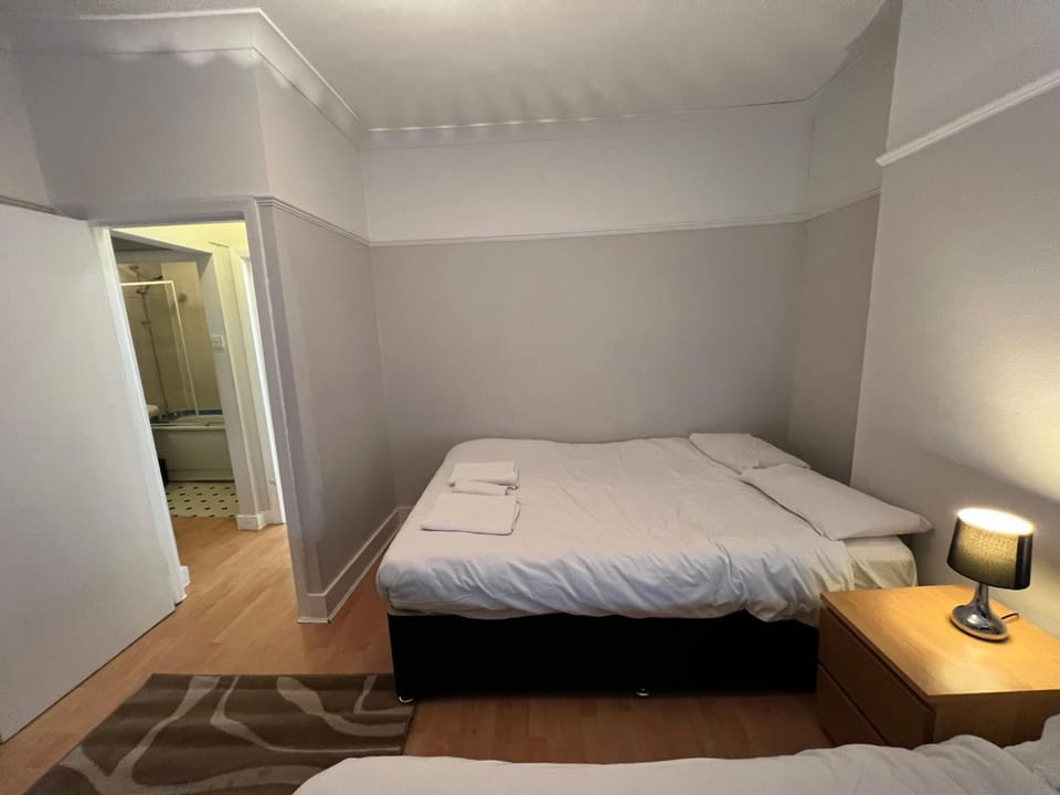 Cozy Spacious Flat Apartment in Croydon