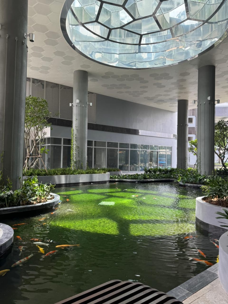 Lobby or reception