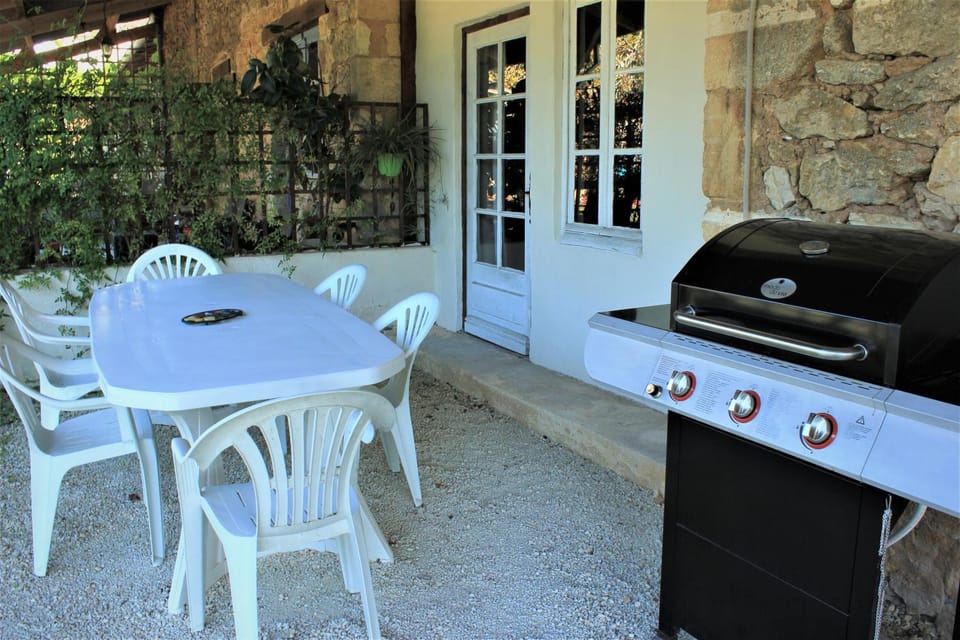 Gîtes de Peyrounou House in Occitanie