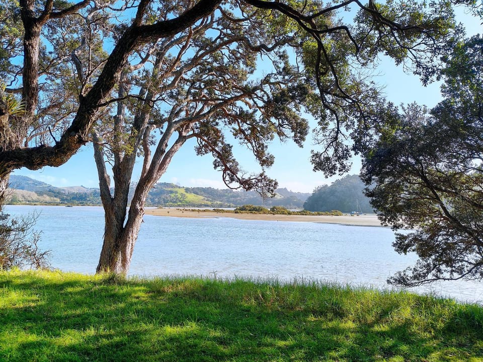 Orewa family holiday house with 3 bed-rooms view on deck near cafe, bush & river Vacation rental in Auckland Region