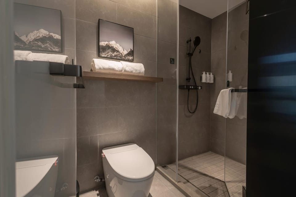 Shower, Toilet, Bathroom, towels