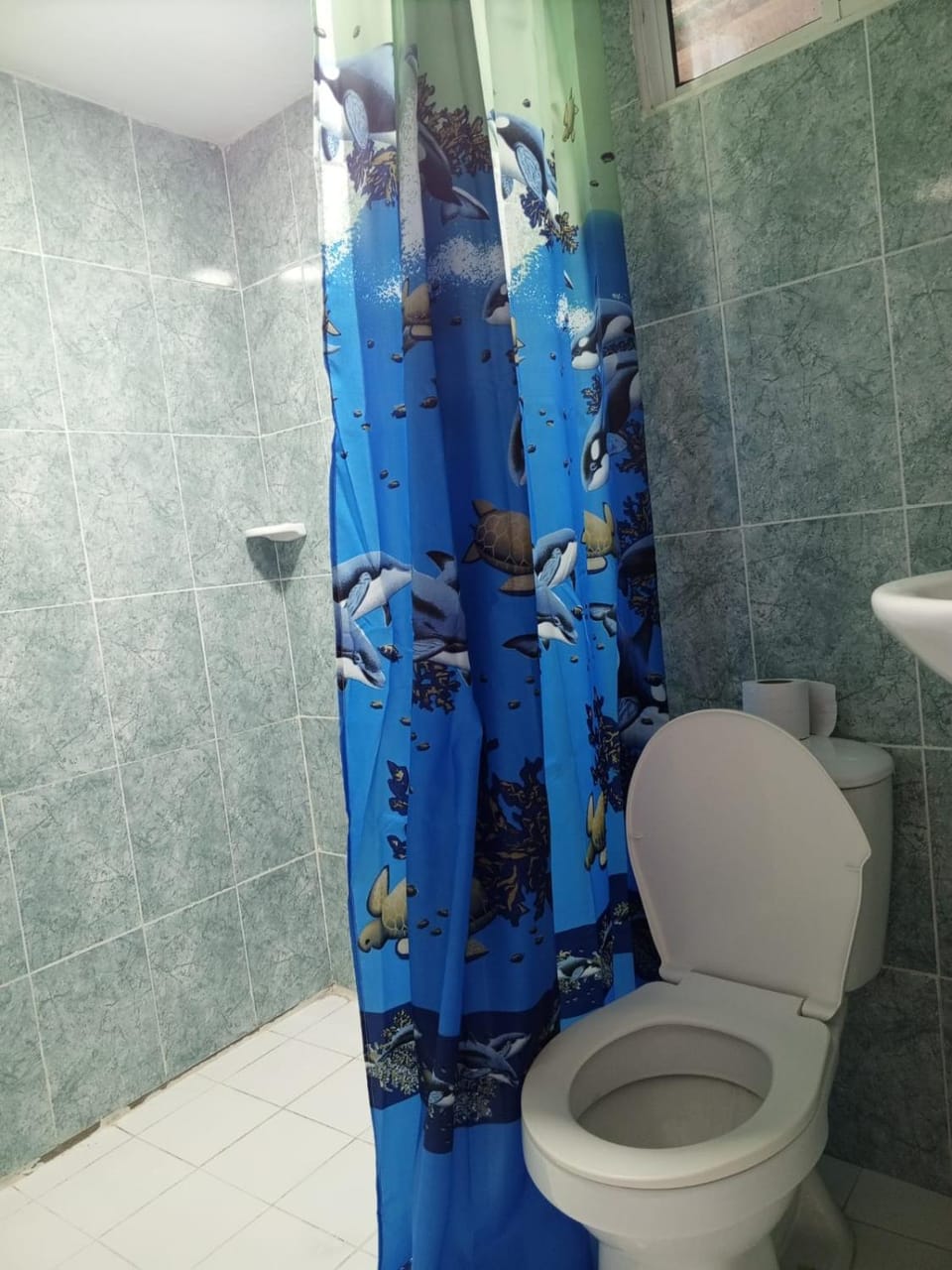 Shower