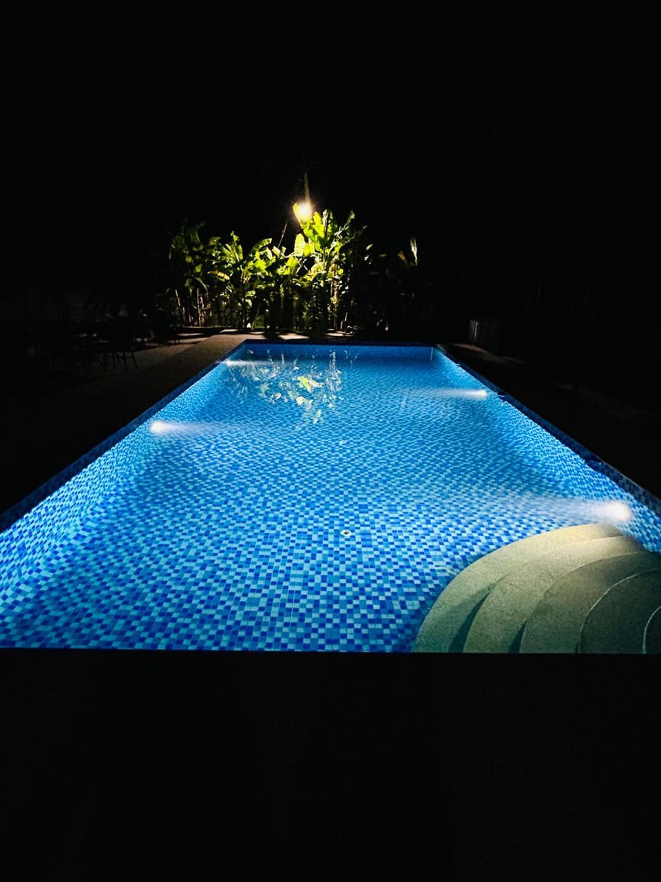 Swimming pool, Swimming pool