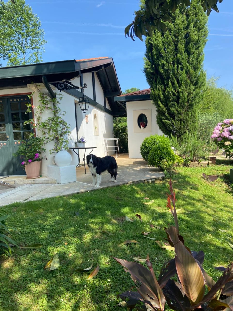 A la Colline de la bergerie Apartment in French Basque Country