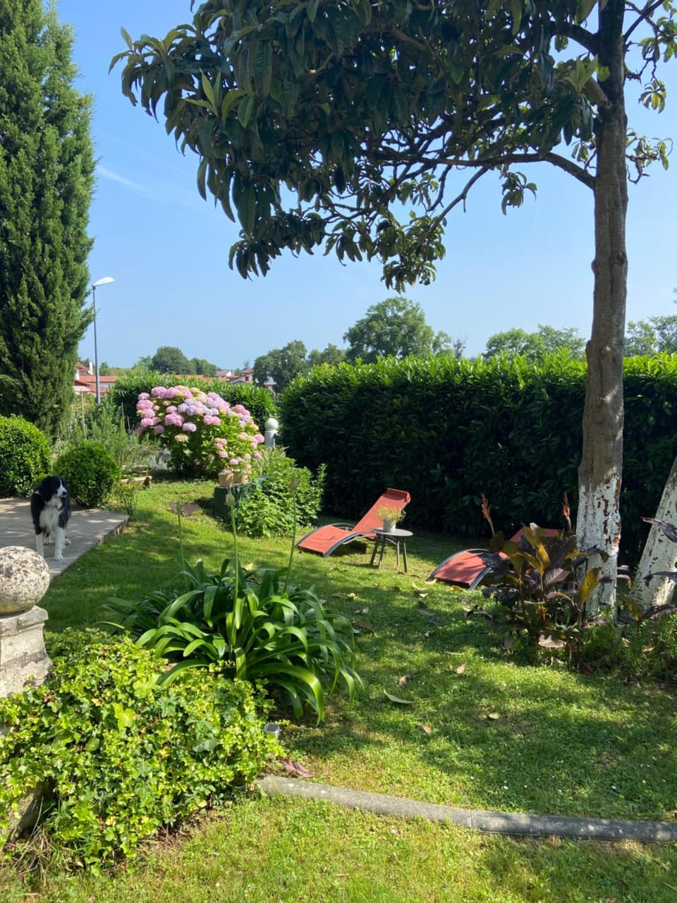 A la Colline de la bergerie Apartment in French Basque Country