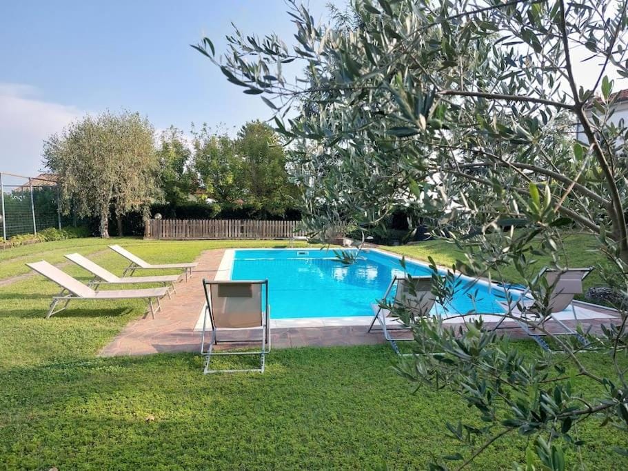 Garden, Swimming pool