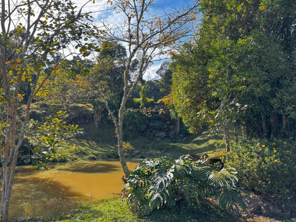 Natural landscape, Garden