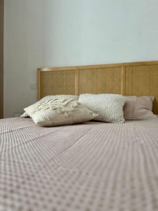 Le petit Rameau - T2 hypercentre Apartment in Clermont-Ferrand