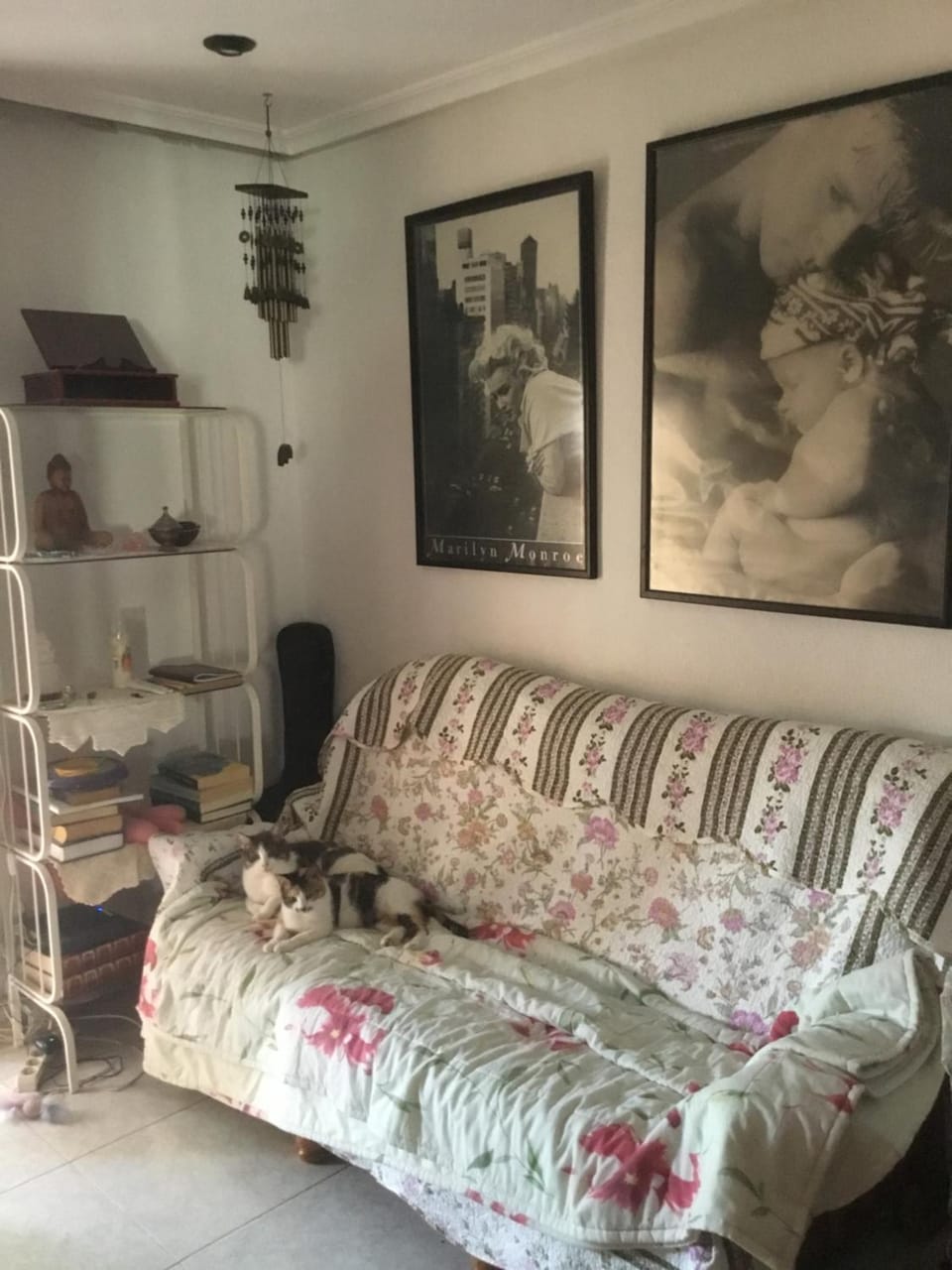Living room, Pets