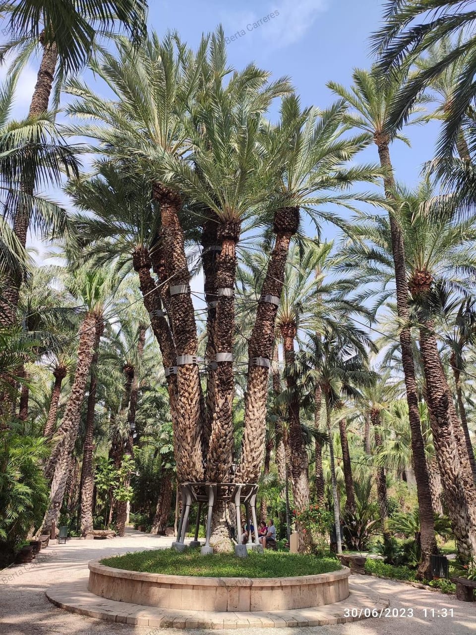Nearby landmark, Natural landscape, Garden