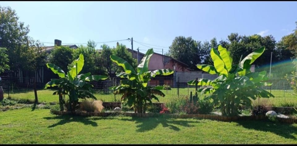 Charmante petite maison à la campagne House in Grand Est