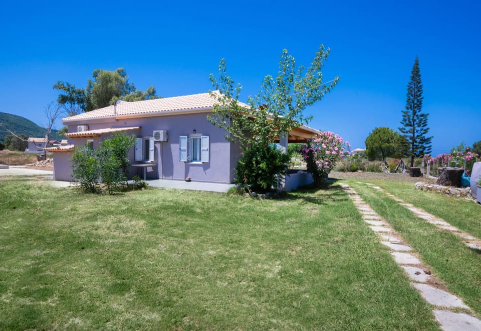Property building, Garden view
