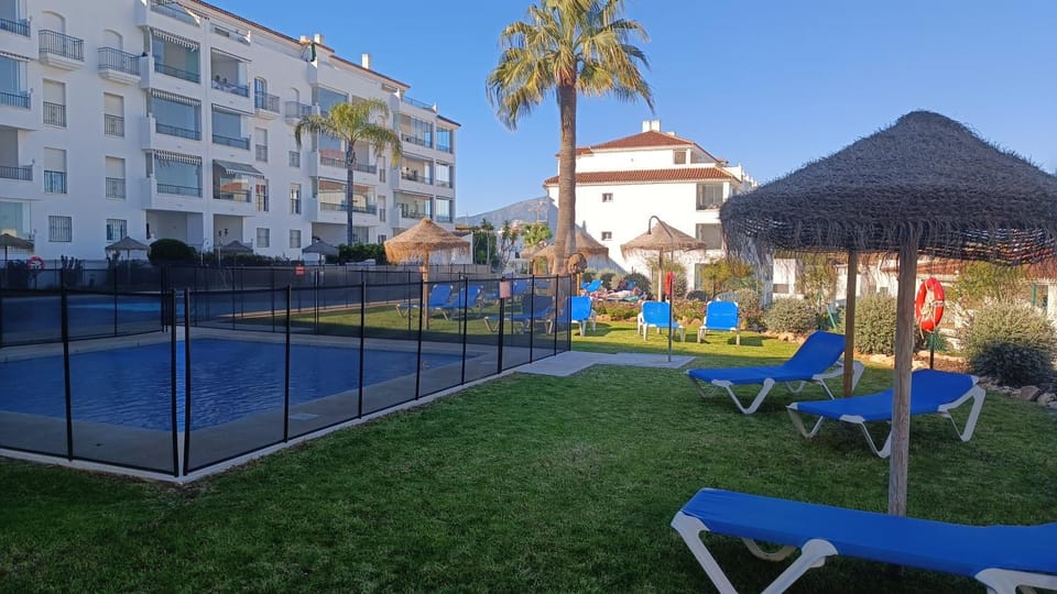 Garden, Pool view, Swimming pool, sunbed