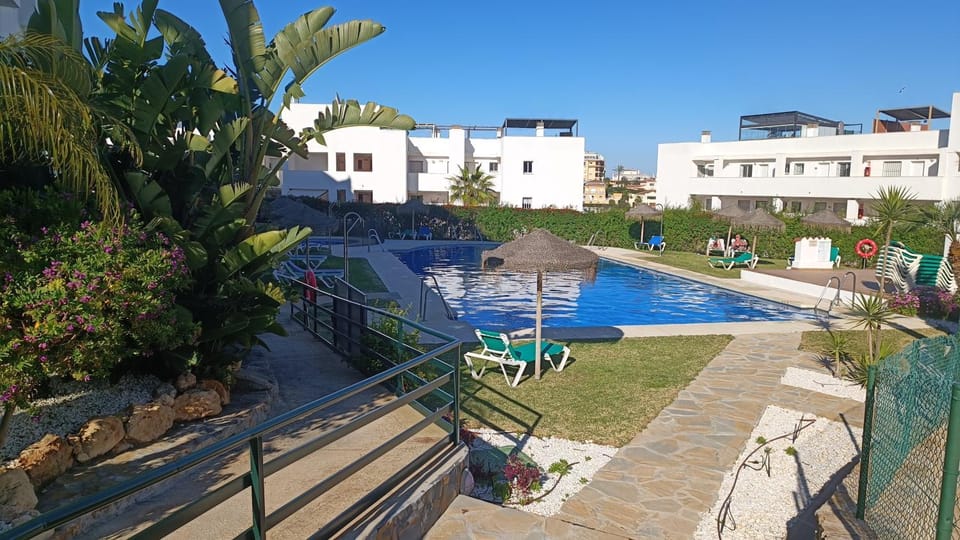 Garden, Garden view, Pool view, Swimming pool, sunbed