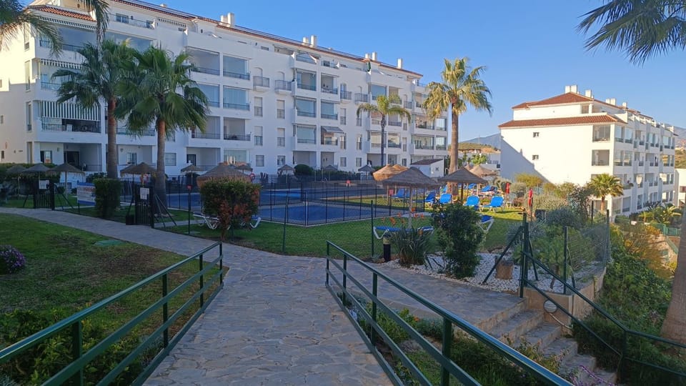 Garden, Pool view, Swimming pool