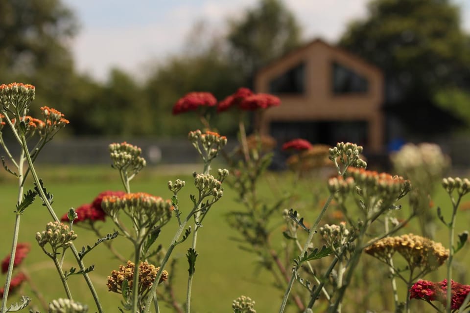 Property building, Garden, Garden, Garden view