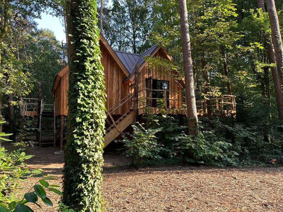Property building, Natural landscape, Garden