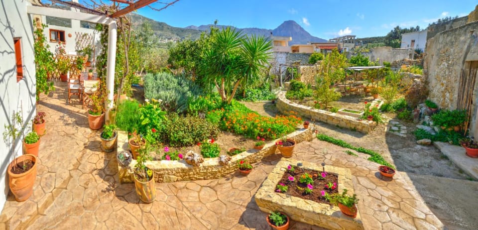 Natural landscape, Garden, Garden view, Mountain view