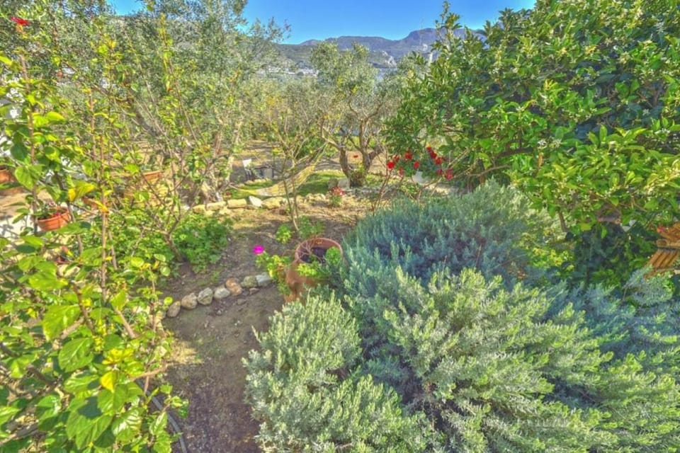 Natural landscape, Garden, Garden view