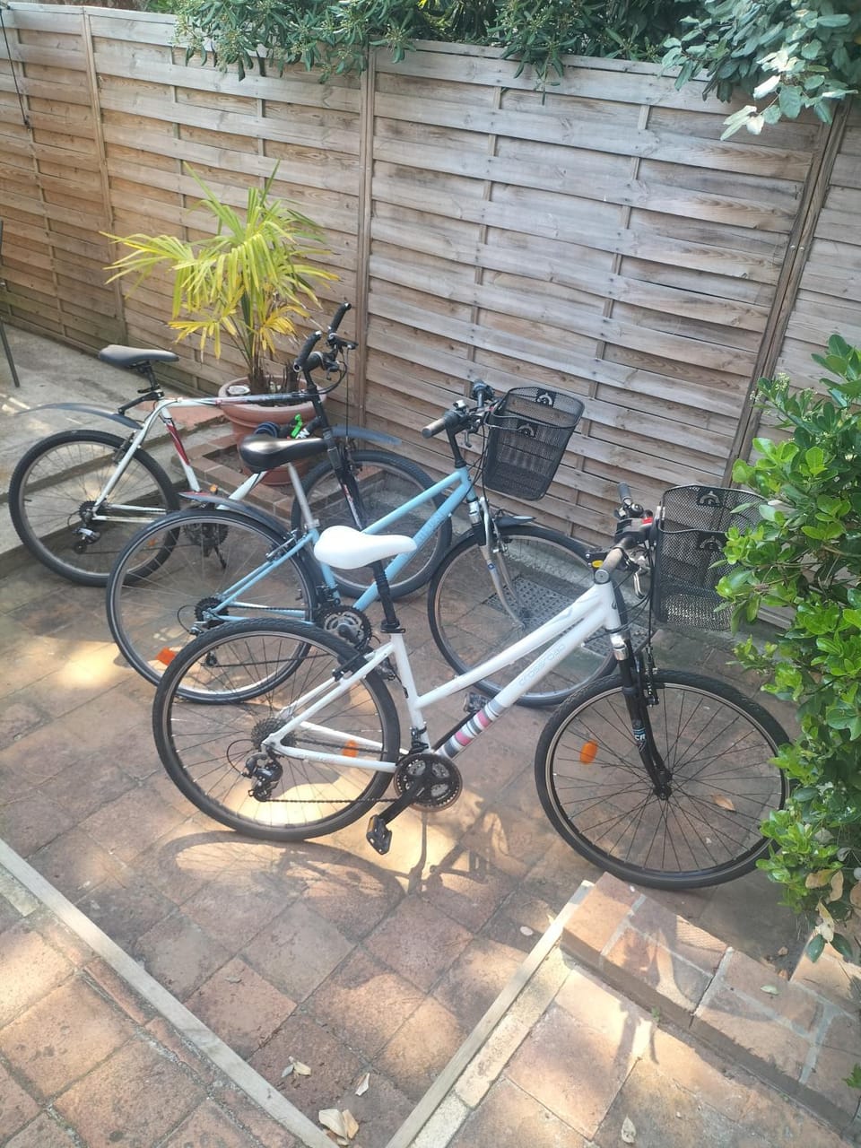 Cycling