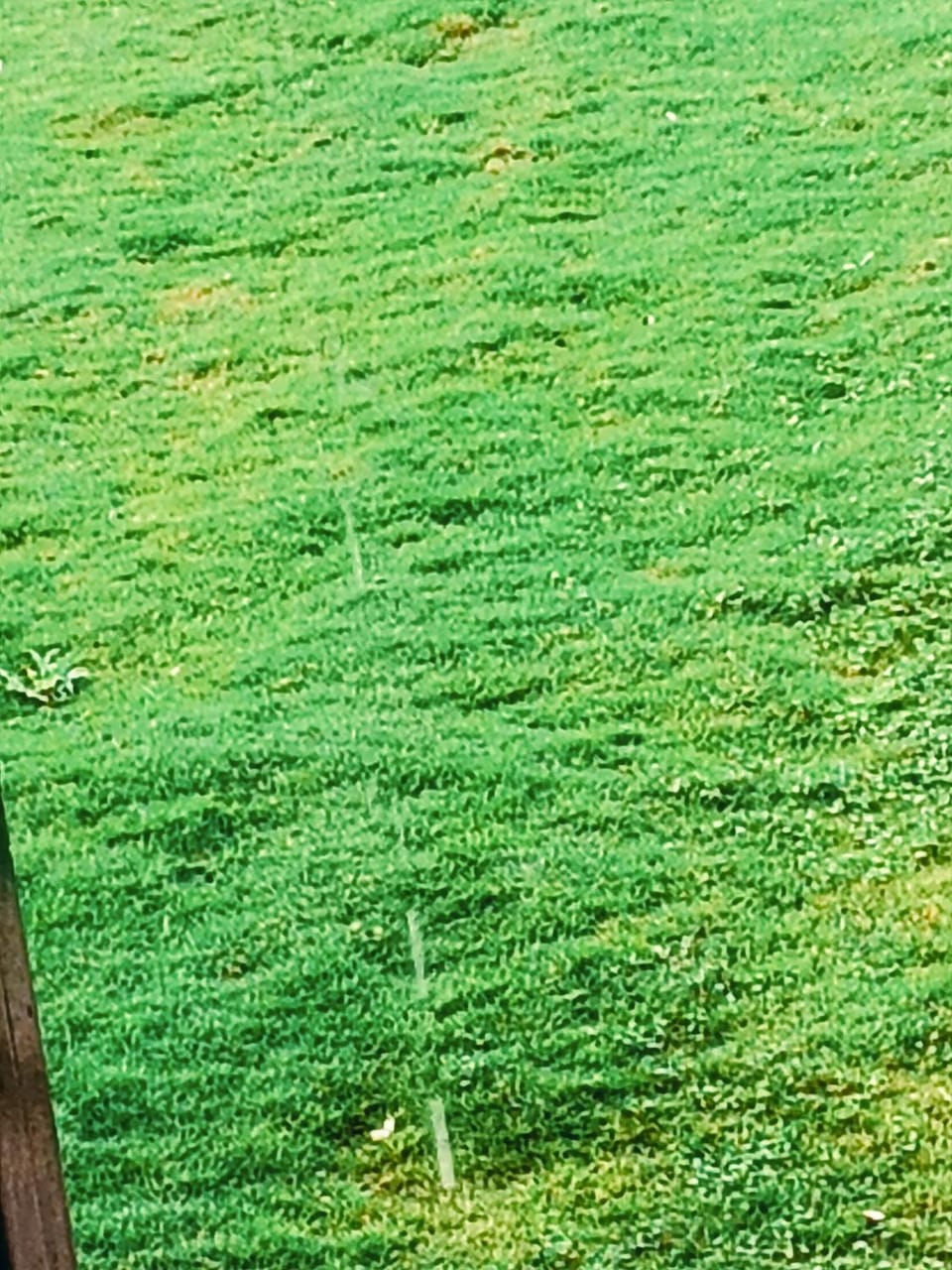 Dattatray Hollydays 3bhk AC VillA Country House in Mahabaleshwar