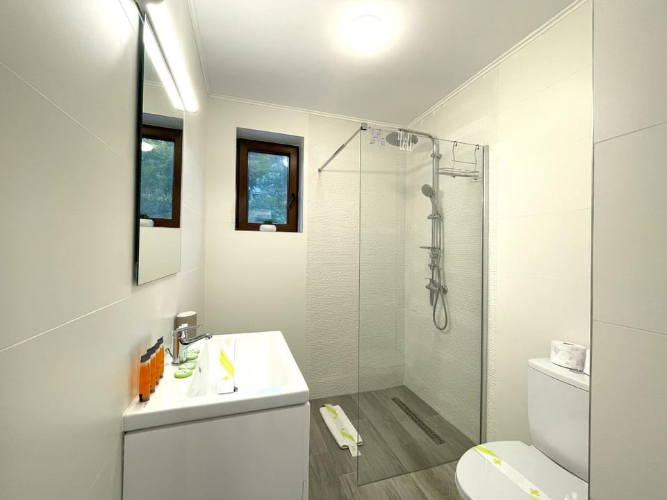 Shower, Toilet, Bathroom, towels
