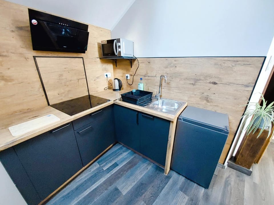 AE BERG Apartamenty Apartment in Czechia
