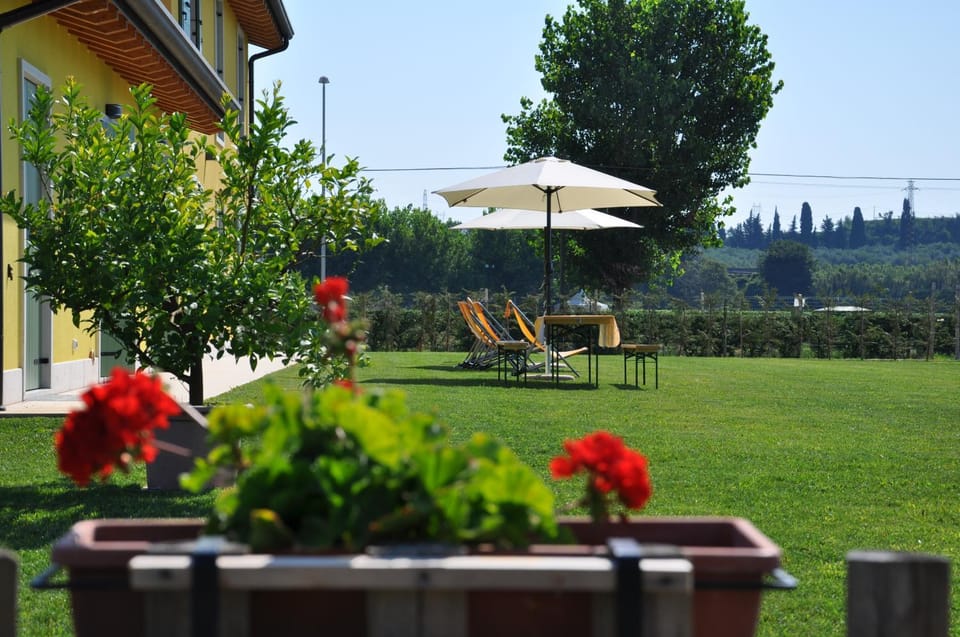 Day, Garden