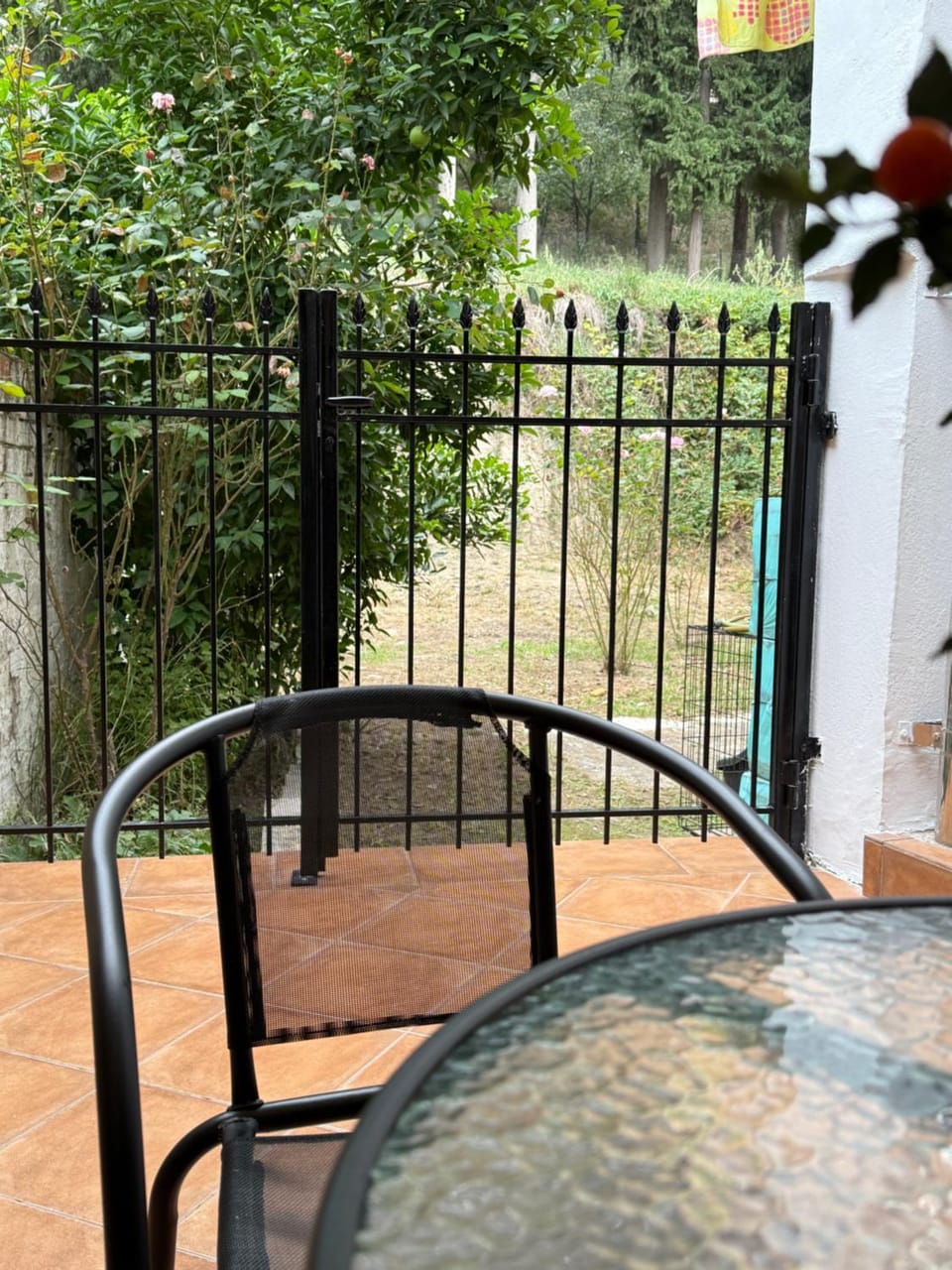 Patio, Garden view