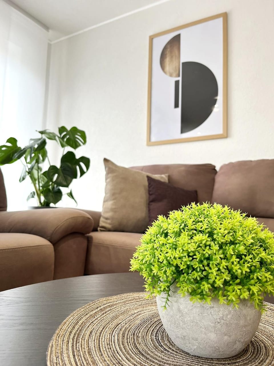 Apartments Contessa Apartment in Novigrad