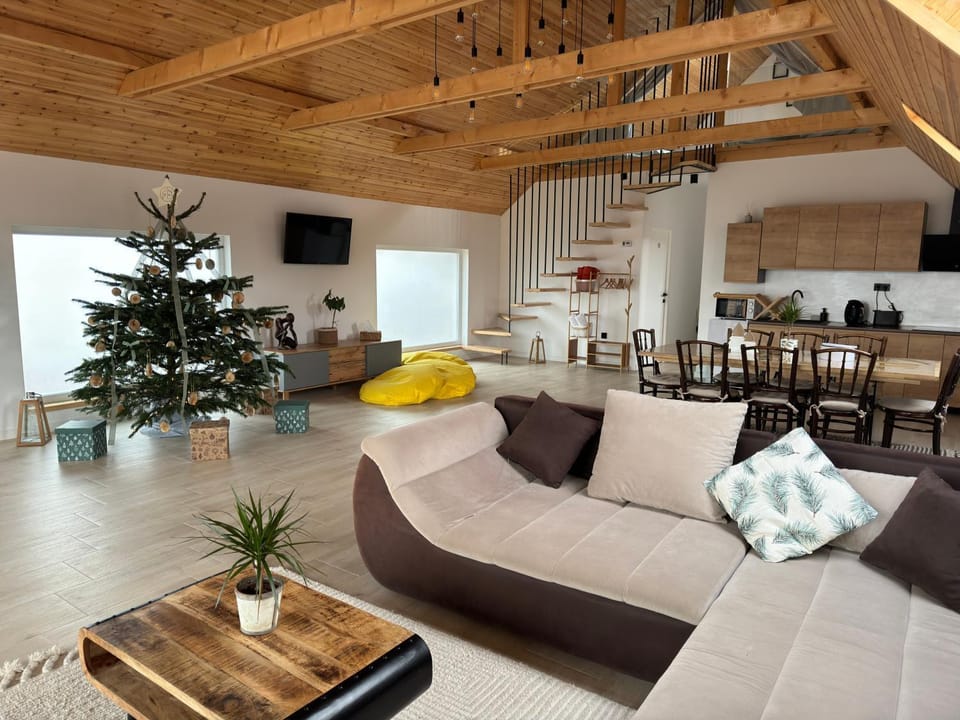 Kitchen or kitchenette, Living room, Seating area, Dining area, Evening entertainment