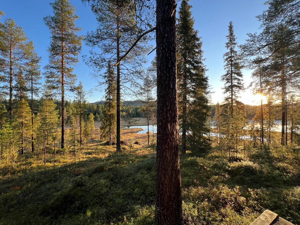 Day, Natural landscape, Lake view